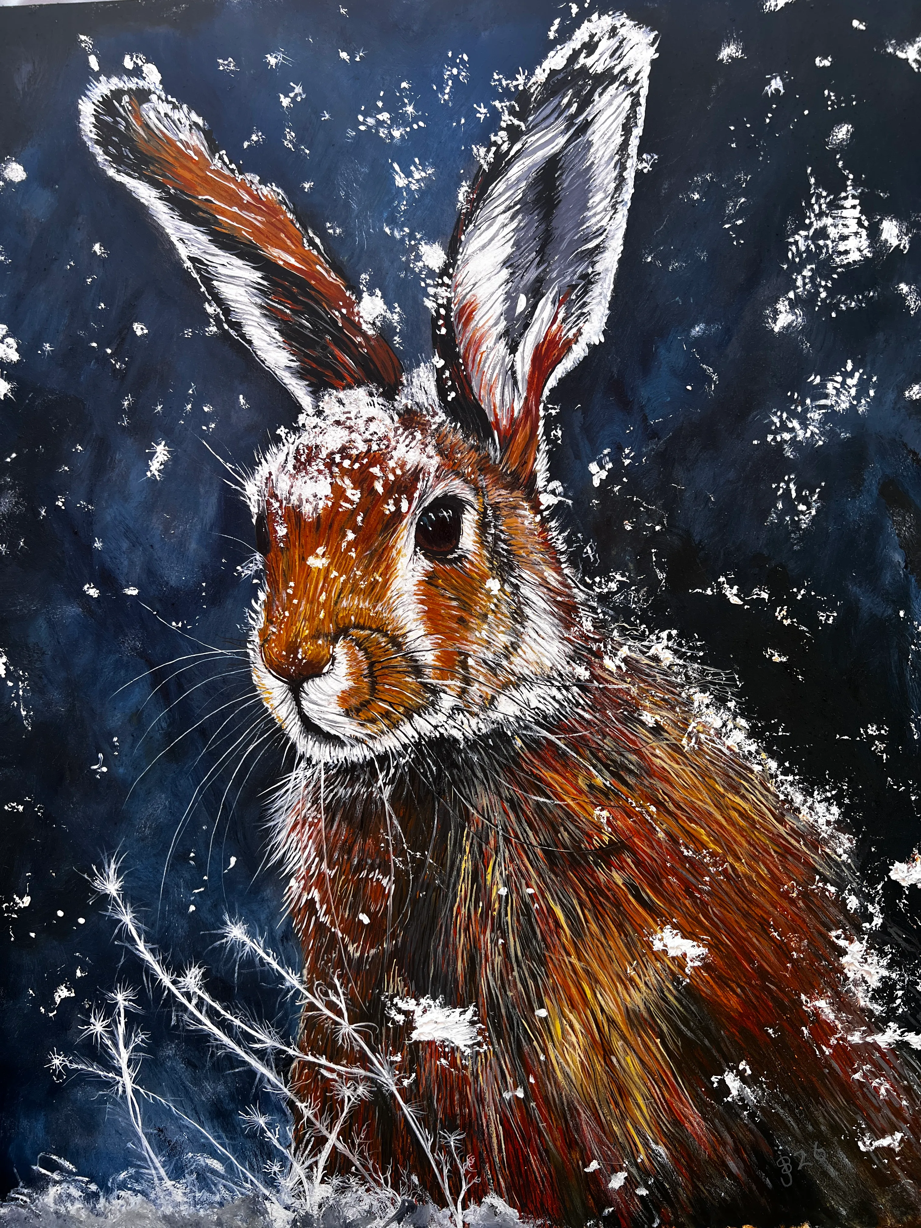 Winter  Feldhare 