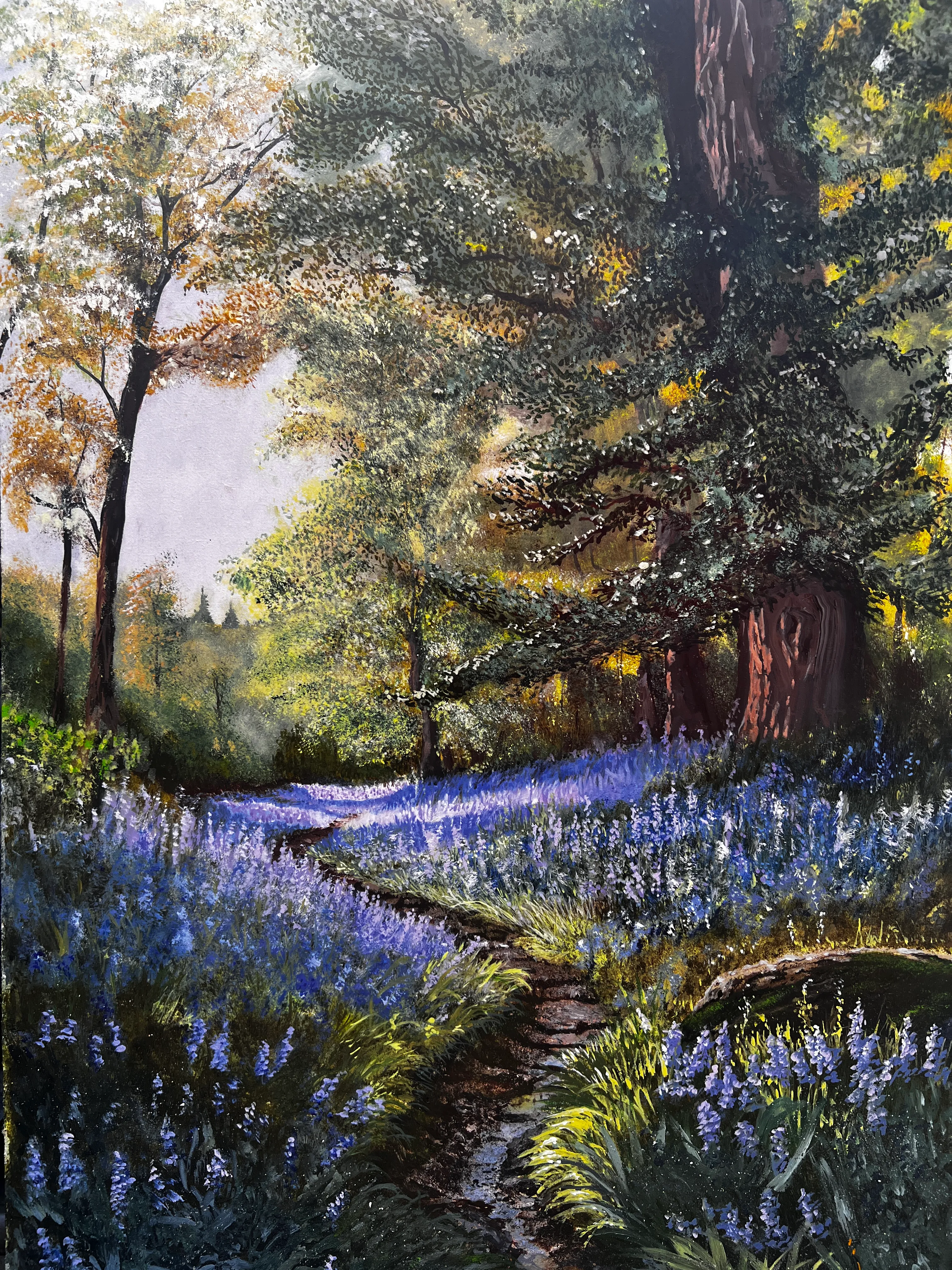 Bluebell carpet